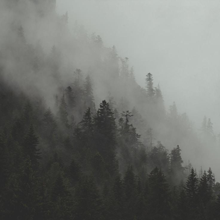 Alpine wilderness landscape